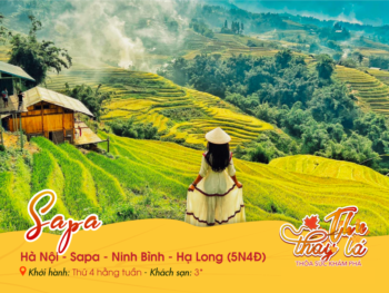 Hà Nội | Sapa | Lào Cai | Bái Đính | Hạ Long